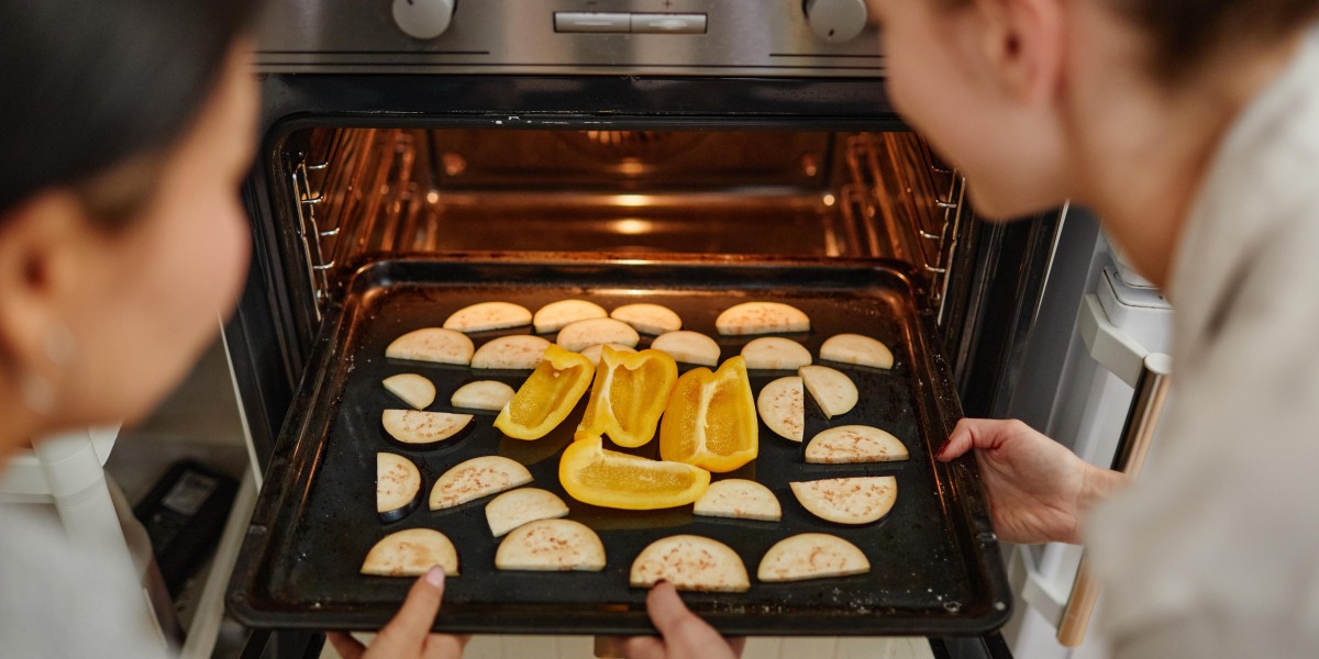 Do You Think Built In Electric Oven One Day Rule The World?