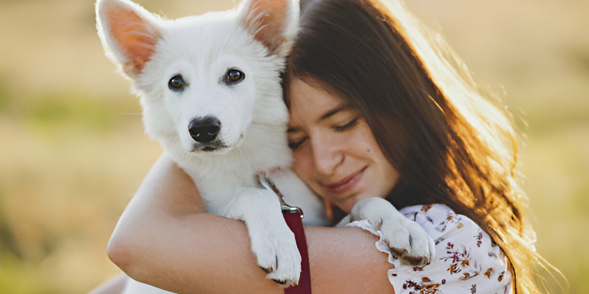Unlock Your Potential with Expert Animal Care Training