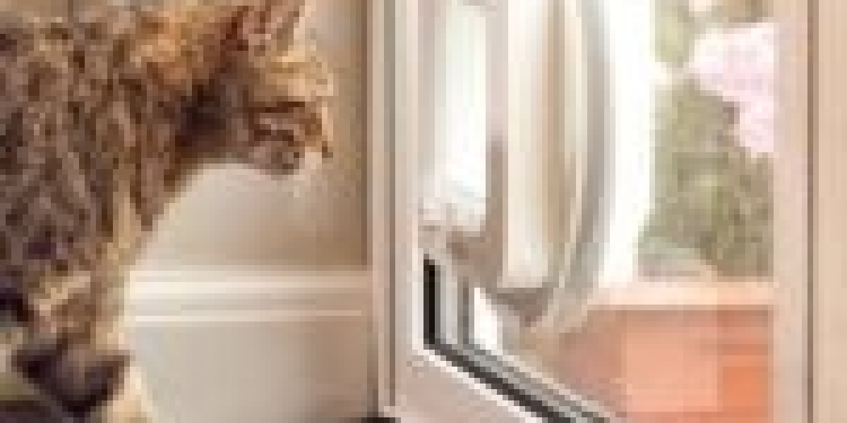 "The Ultimate Cheat Sheet On Cat Flap Installation Tips